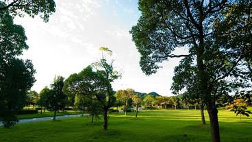 施設の敷地 / 10