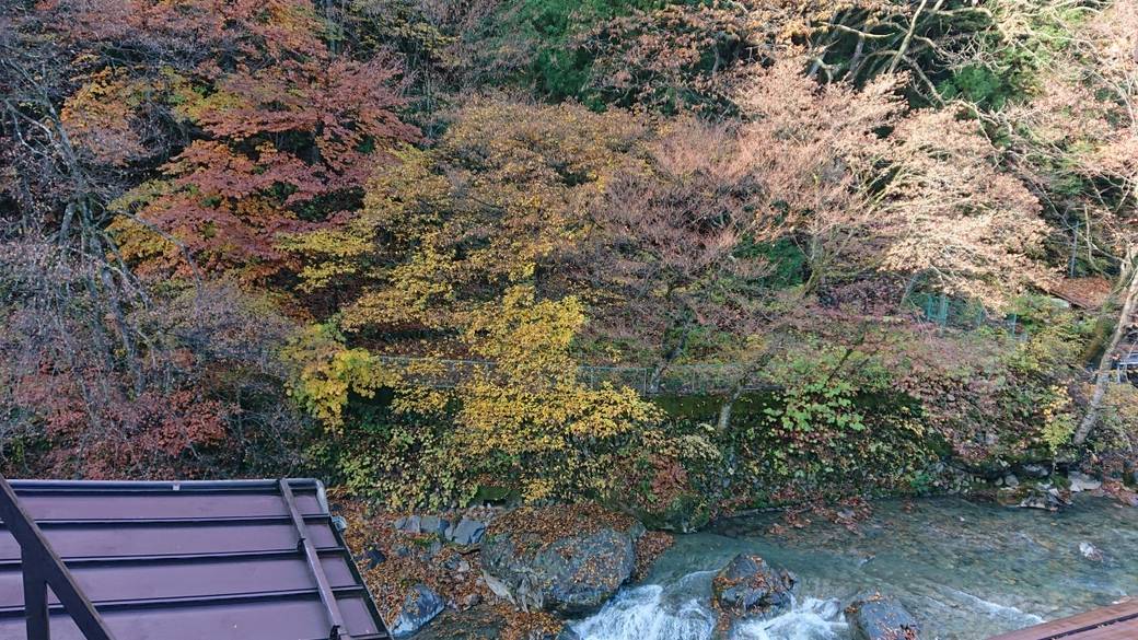 落ち着いた佇まいの
温泉宿にチェックイン / 4