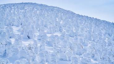 スノー スポーツとスキー / 26