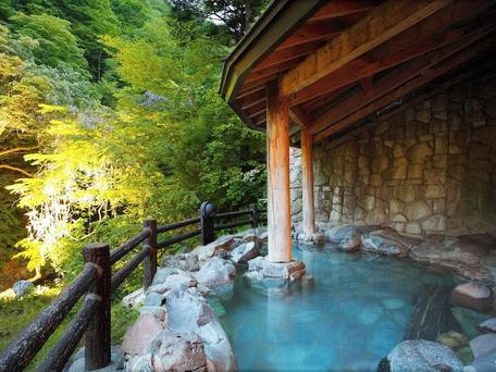 湯西川温泉 彩り湯かしき 花と華 / 1