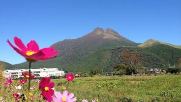 マウンテン ビュー / 20