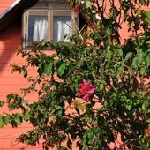 SEA BREEZE（沖縄県 コテージ・ロッジ・一棟貸） / 2