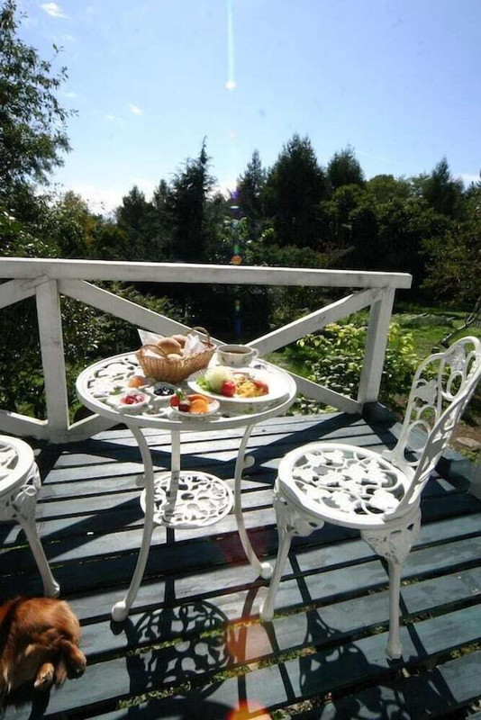 テラス / パティオ