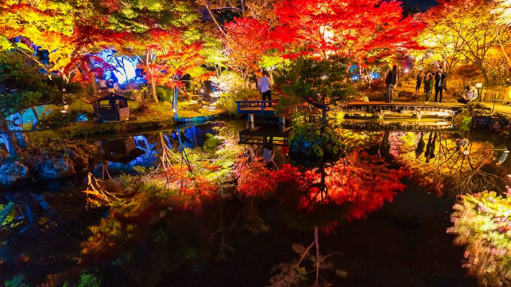 「天守閣自然公園」 / 5