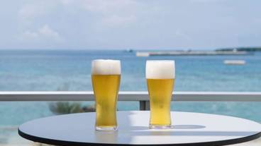 テラス / パティオ / 6