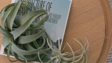 客室の設備とサービス / 38