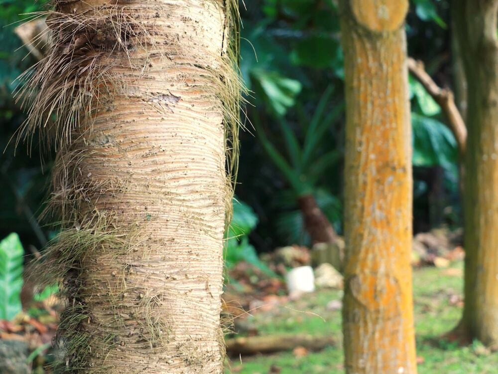 施設からの眺望