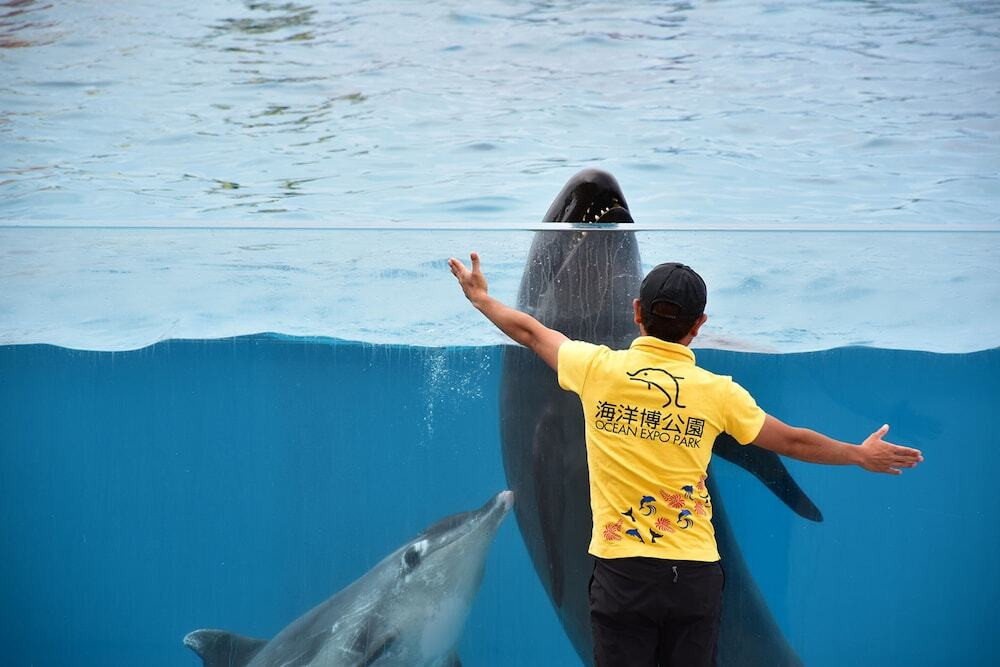 エコツアー