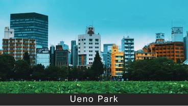 シティ ビュー / 20