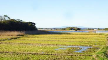 ランド ビュー / 12