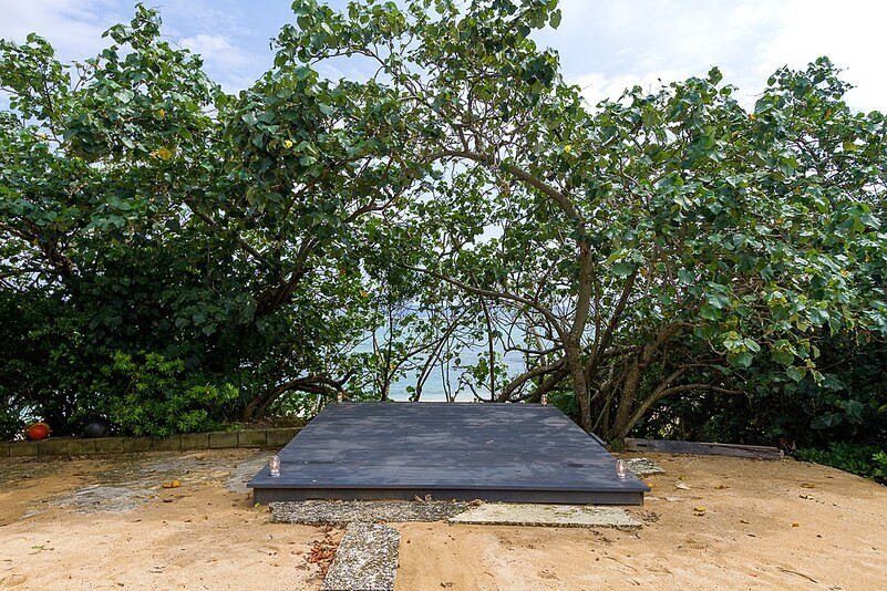 7.【海みるテラスの宿】ウミガメも訪れる神秘的な海と自然に癒される3547129