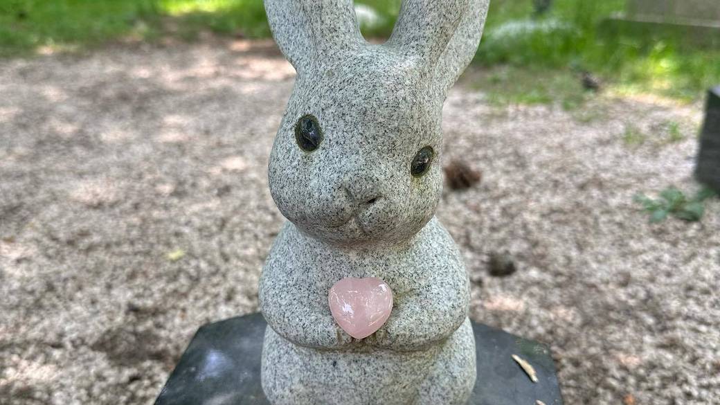 出雲大社のうさぎ / 3