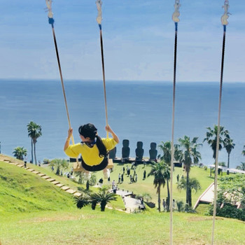 後ろ姿 ブランコと女性