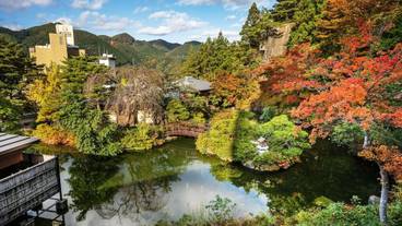 日本庭園 / 16