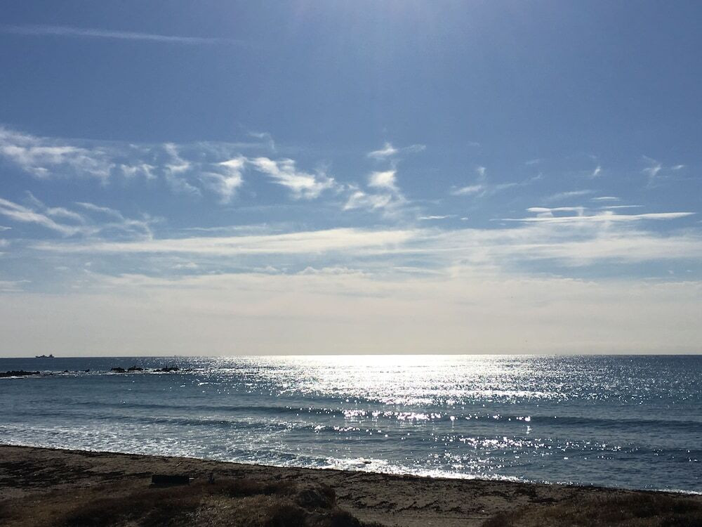 施設からの眺望