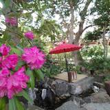 陣屋（ジンヤ）