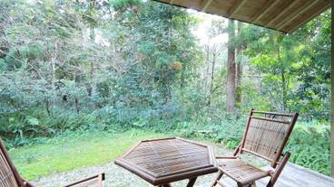 ガーデン ビュー / 13