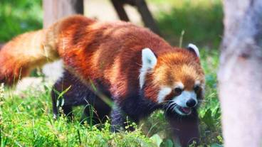 観光スポット / 11