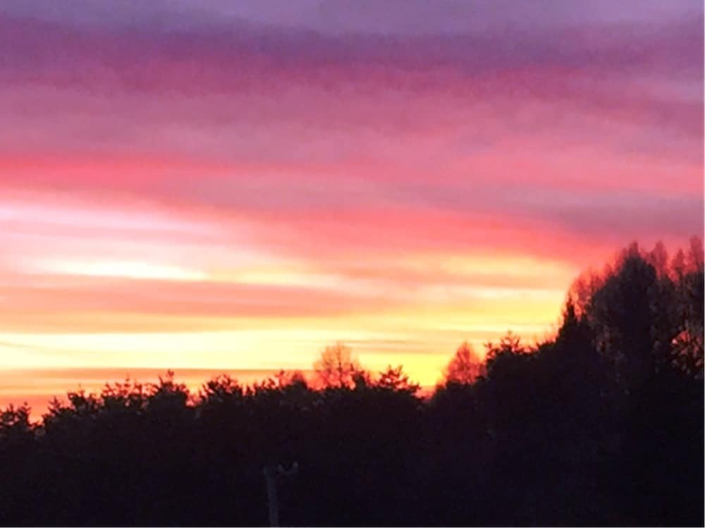 施設からの眺望