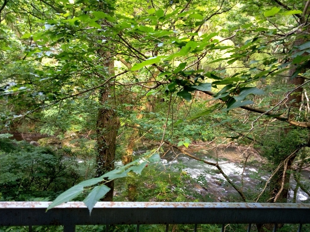 部屋からは下に川が見えます。