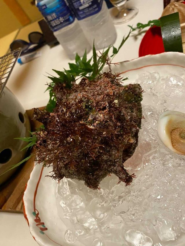 goodstuff_intheworldさんの写真 / 2