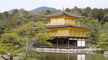 観光スポット / 8