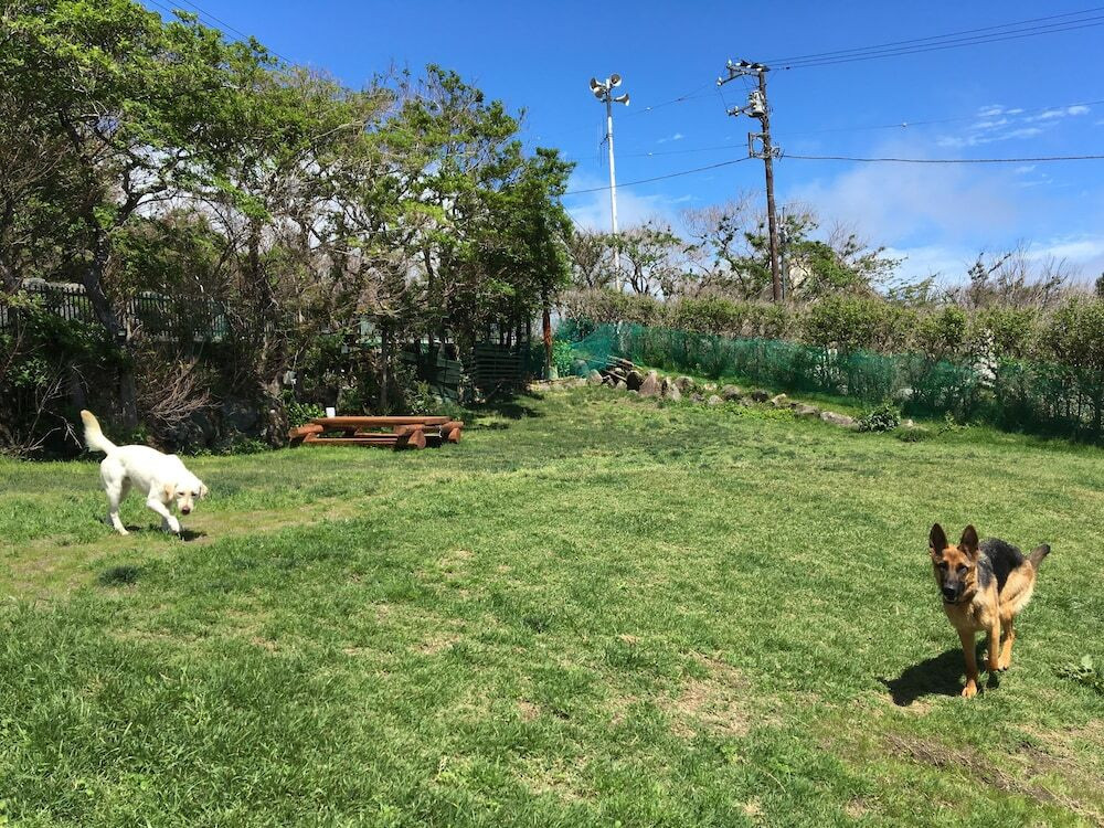 ペット用設備・サービス