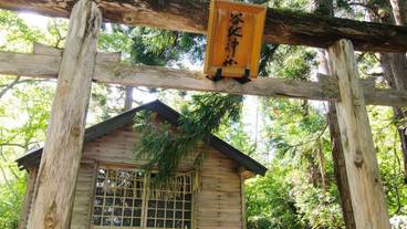 マウンテン ビュー / 27