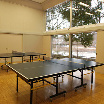 半露天風呂付き客室でのんびり！キッズルームにプール、湯巡りも◎4755592