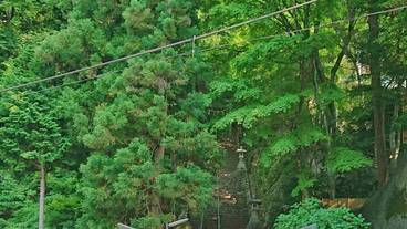 観光スポット / 5