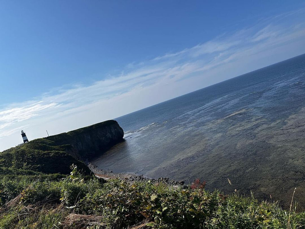 to.eat.kappyさんの写真 / 1