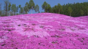 施設からの眺望 / 17