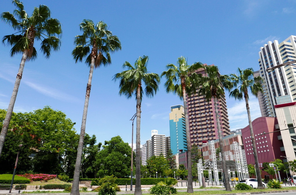 <ユニバーサルシティエリア>4760344