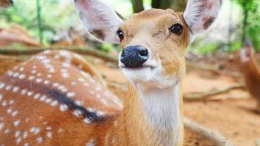 シティ ビュー / 19