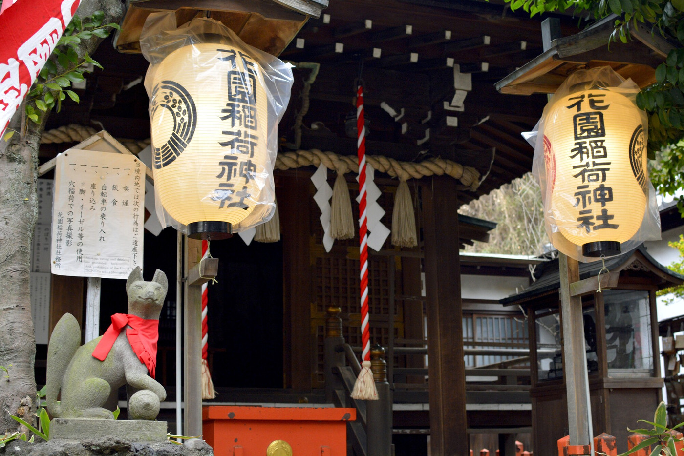 美しく並ぶ鳥居に吸い込まれそう「花園稲荷神社」1829346