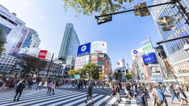 ランド ビュー / 16