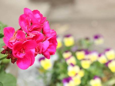 南房総癒しの宿 聖山荘 / 3