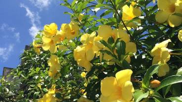 施設からの眺望 / 26