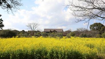 おおが（大神）ファーム / 4