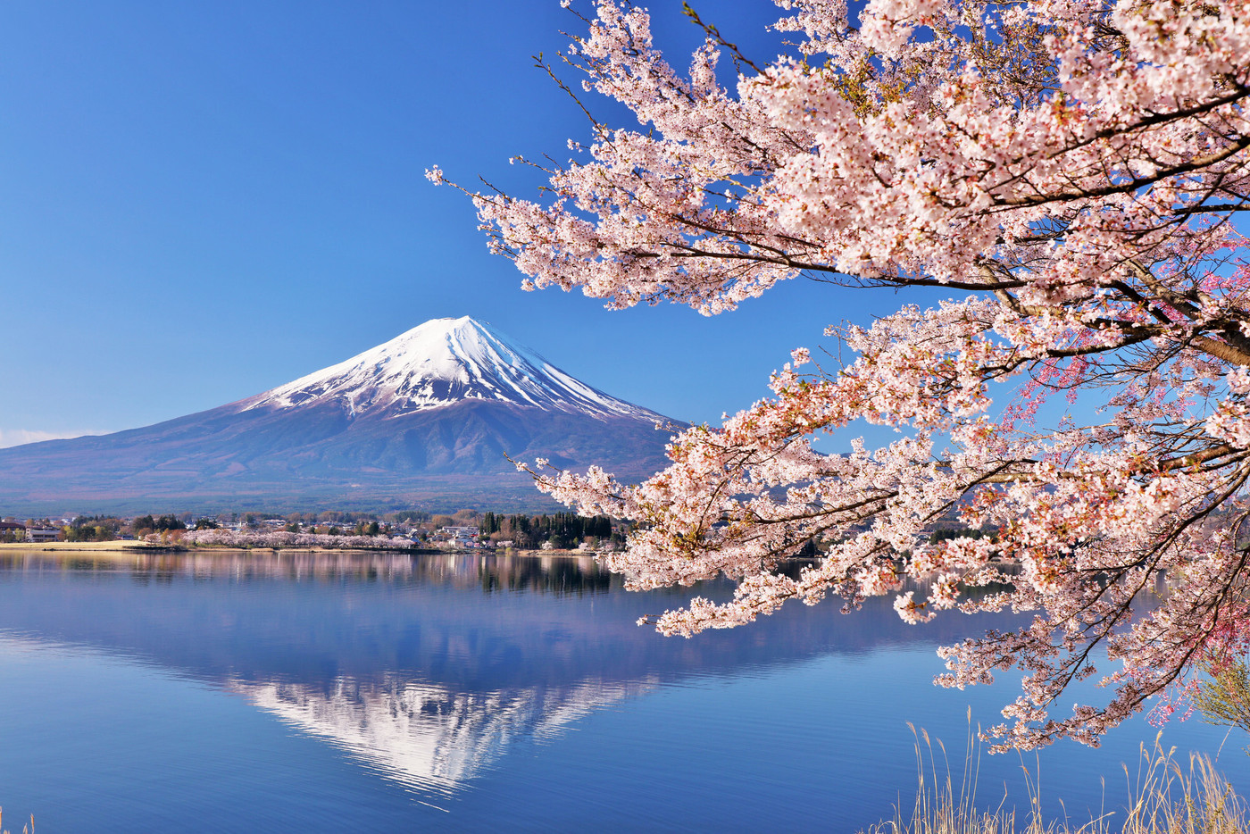 美しい富士山からパワーをもらおう。絶景&癒しの温泉旅4771445