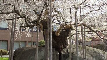 シティ ビュー / 8