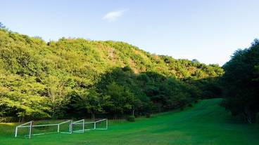 施設の敷地 / 13