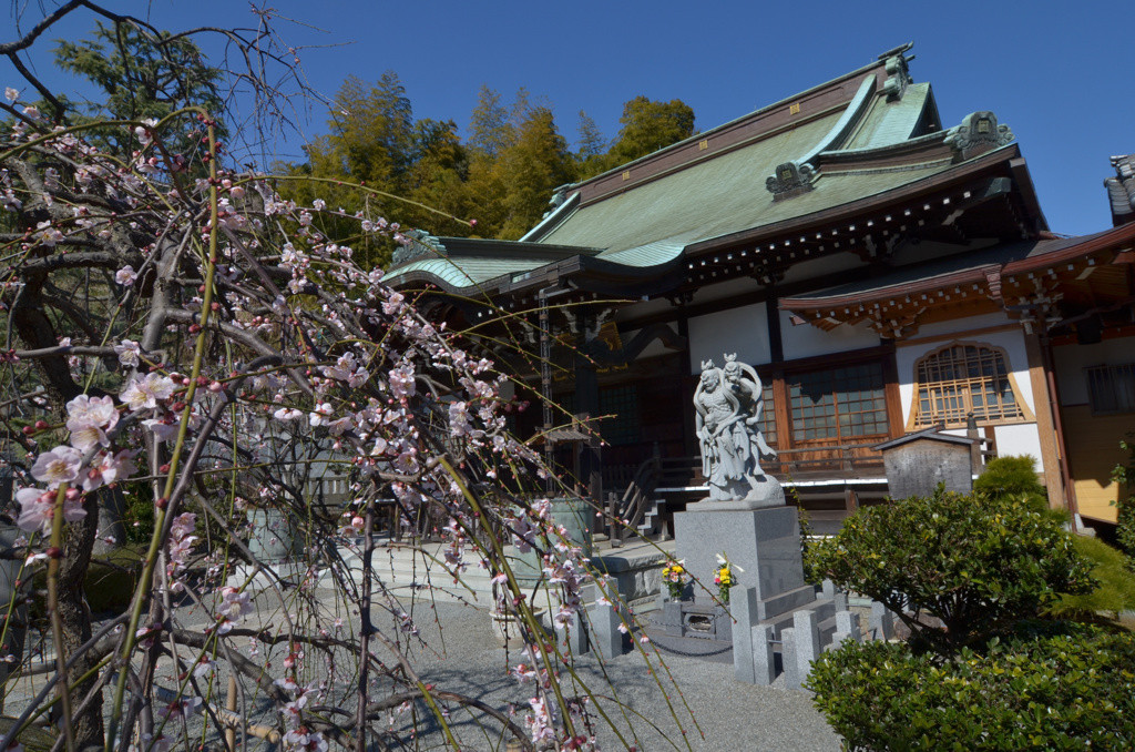 7.法明寺【豊島区】900554