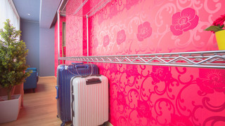 ラグジュアリー ドミトリー ルーム 女性専用 二段ベッド 2名分 (ペット不可)