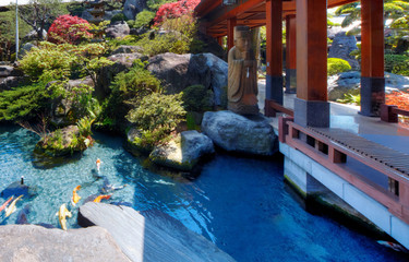 夏の日本庭園の池に鯉と赤い橋♪♪かもの親子