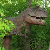 ホテル ブランヴェール那須(栃木県 リゾートホテル) / 2