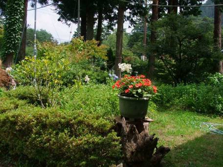 ペンション ウッドストック / 2