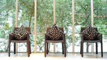 施設の敷地 / 29