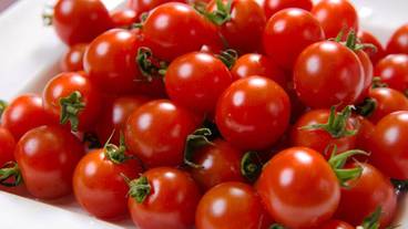 食事・飲み物 / 1