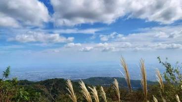 観光スポット / 11